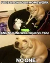 evil-dog.webp