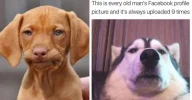 oldoggo.webp