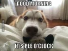 5fd262f1378e9e486ab437d9351c5910.webp