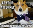 law.webp