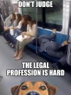 life is hard.webp