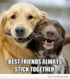 71658f1bb5ad4e9a21a69cd61f1ea179.webp