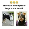 1598493111401.webp