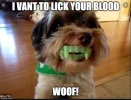thursdaymeme3.webp