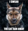 thursdaymeme1.webp