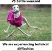 VS Dog.webp
