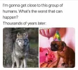 wolf.webp