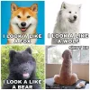4uj3andehko21.webp