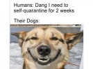 td.jpg