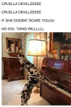 cruella-dog-meme-1546548992.webp