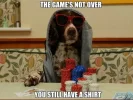 dog-game-over-poker-meme.webp
