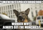 fridaymeme1.webp