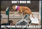 fridaymeme2.webp