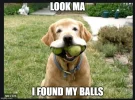 mondaymeme3.webp