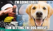 satmeme1.webp