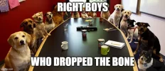 meeting.webp