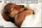 dionresting.jpg