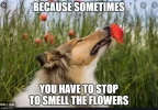 mondaymeme1.webp