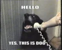 e3f729325c4ca24706739cddd0f3b5a2.webp
