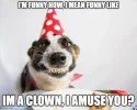 clown.webp