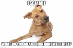 evildog3.webp