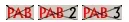PAB-rogue-nogo-123.png PAB-rogue-nogo-123.png