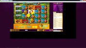 LeprechaunsFortuneFSWilds1.webp