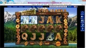 5 bears.webp