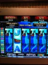 photo.webp