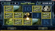 UntamedGiantPanda7xwild.webp