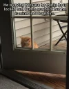 door kitty.webp
