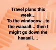 92740121_10157011919011105_9212485119393136640_o.webp