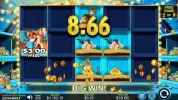 ChickenFox5xSkillstar-BigWin.webp