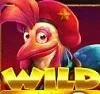 bird.webp