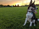IMG_20190713_204731.webp