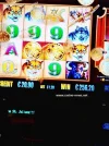 buffalo-gold-big-win-dragonara-casino-malta.webp