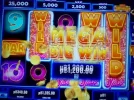 331111.webp