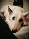 image-80946446-f681-462e-9a20-91f063bd6731.webp