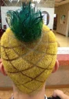 pineapple head.webp pineapple head.webp