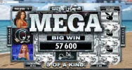 megawin32.webp
