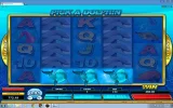 dolphin2.webp