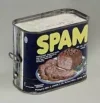 spam.webp spam.webp