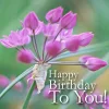 HappyBirthdayFlowers11.webp