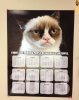 cat calendar.jpg