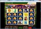wolf run.webp