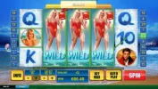 bay.webp bay.webp