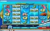 dolphin 2.webp