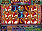 kumg fu ferrett 7-25-2013.webp