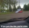 park dick.webp