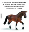 horse-pun.webp